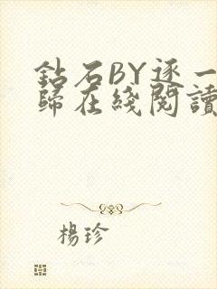 钻石BY逐一而归在线阅读