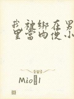 我被绑在男公厕里当肉便小说