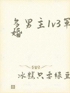 多男主1v3军婚