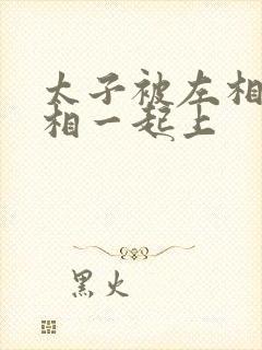 太子被左相和右相一起上