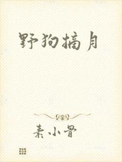 野狗摘月