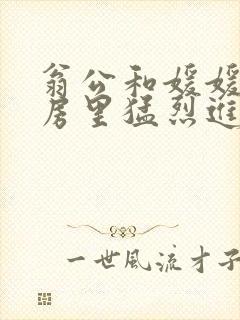 翁公和媛媛在厨房里猛烈进出