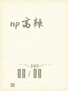 np高辣