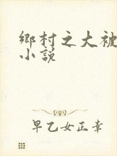 乡村之大被同眠小说