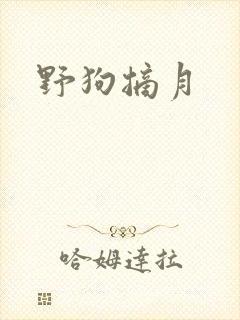 野狗摘月