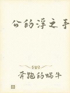 公的浮之手中字
