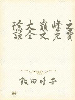 徐大巅峰之路小说全文免费阅读