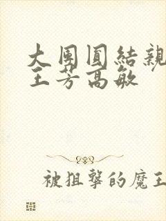 大团圆结亲情会王芳高敏