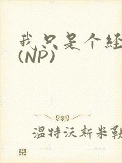 我只是个经纪人(NP)