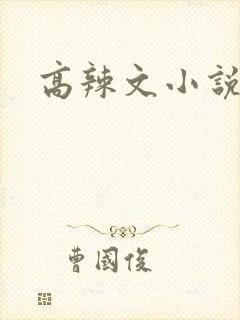 高辣文小说