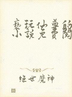 亵玩仙尊的道侣小说免费阅读