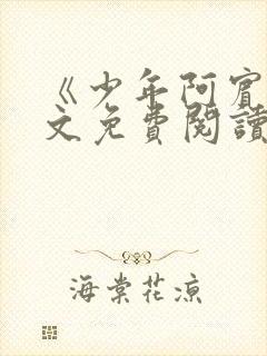 《少年阿宾》全文免费阅读