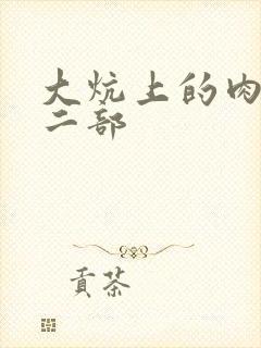 大炕上的肉伦第二部