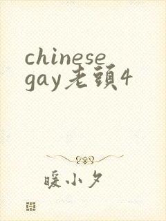 chinesegay老头4