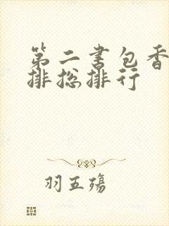第二书包香辣肉排总排行