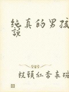 纯真的男孩子小说