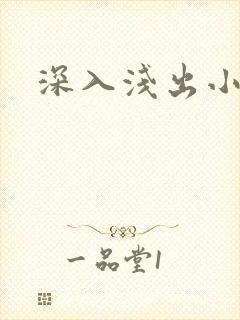 深入浅出小说