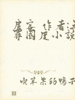 房客 作者:无罪国度小说全文免费