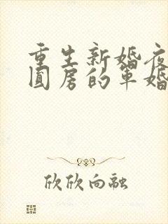 重生新婚夜正在圆房的军婚