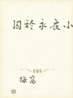 囚于永夜小说