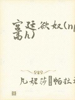 宫廷欲奴(np高h)
