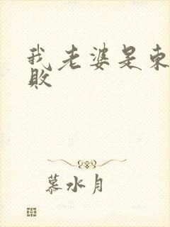 我老婆是东方不败