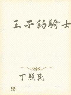 王子的骑士小说