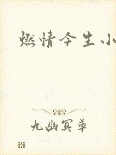 燃情今生小说