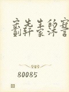 宋先生的宠妻计划轩家沐言