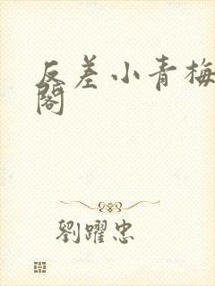 反差小青梅笔趣阁