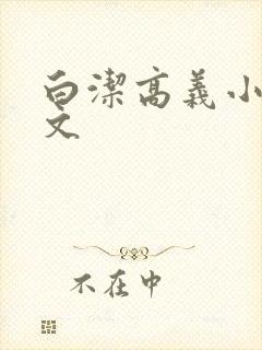 白洁高义小说全文