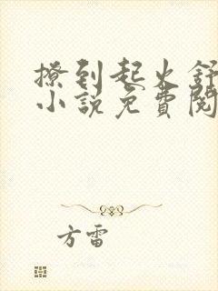 撩到起火舒漾的小说免费阅读全文