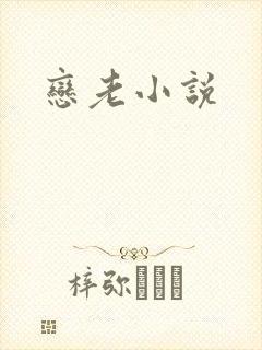 恋老小说
