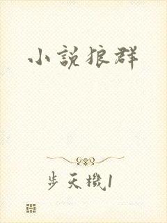 小说狼群