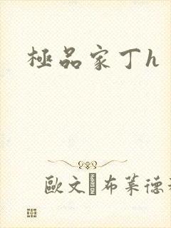 极品家丁h