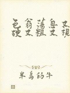 色翁荡息又大又硬又粗又视频图片