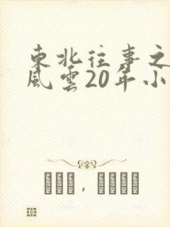 东北往事之黑道风云20年小说