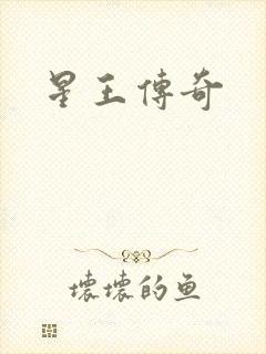 星王传奇