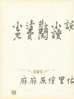 小清欢小说全文免费阅读