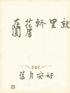 在花轿里就开始圆房