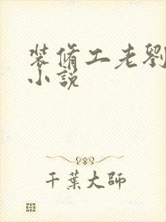 装修工老刘林雪小说