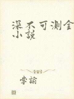 深不可测金银花小说