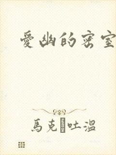 爱幽的密室小说