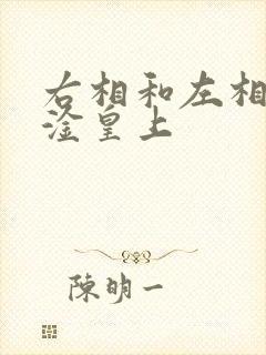 右相和左相一起淦皇上