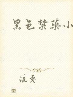 黑色禁药小说