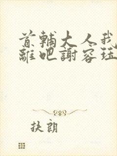 首辅大人我们和离吧谢容珏