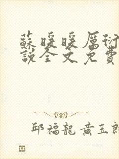 苏暖暖厉衍琛小说全文免费阅读