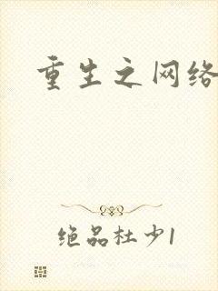 重生之网络大亨