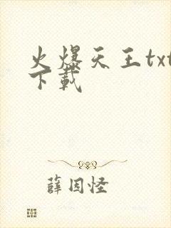 火爆天王txt下载