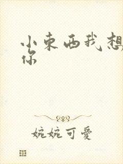 小东西我想弄坏你